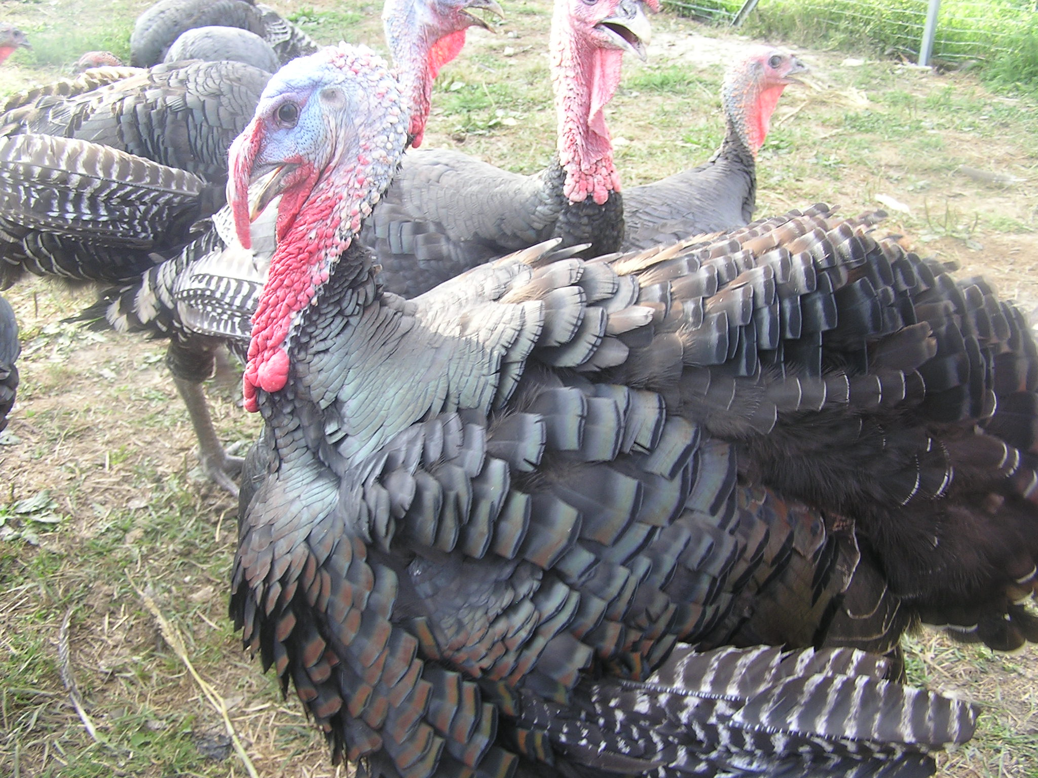 Ausflugsziel: Aulehrpfad - eine unvergessliche Begegnung mit der Natur