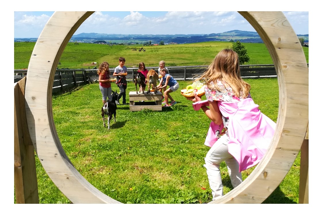 Ausflugsziel: Family days im Salzburger Seenland