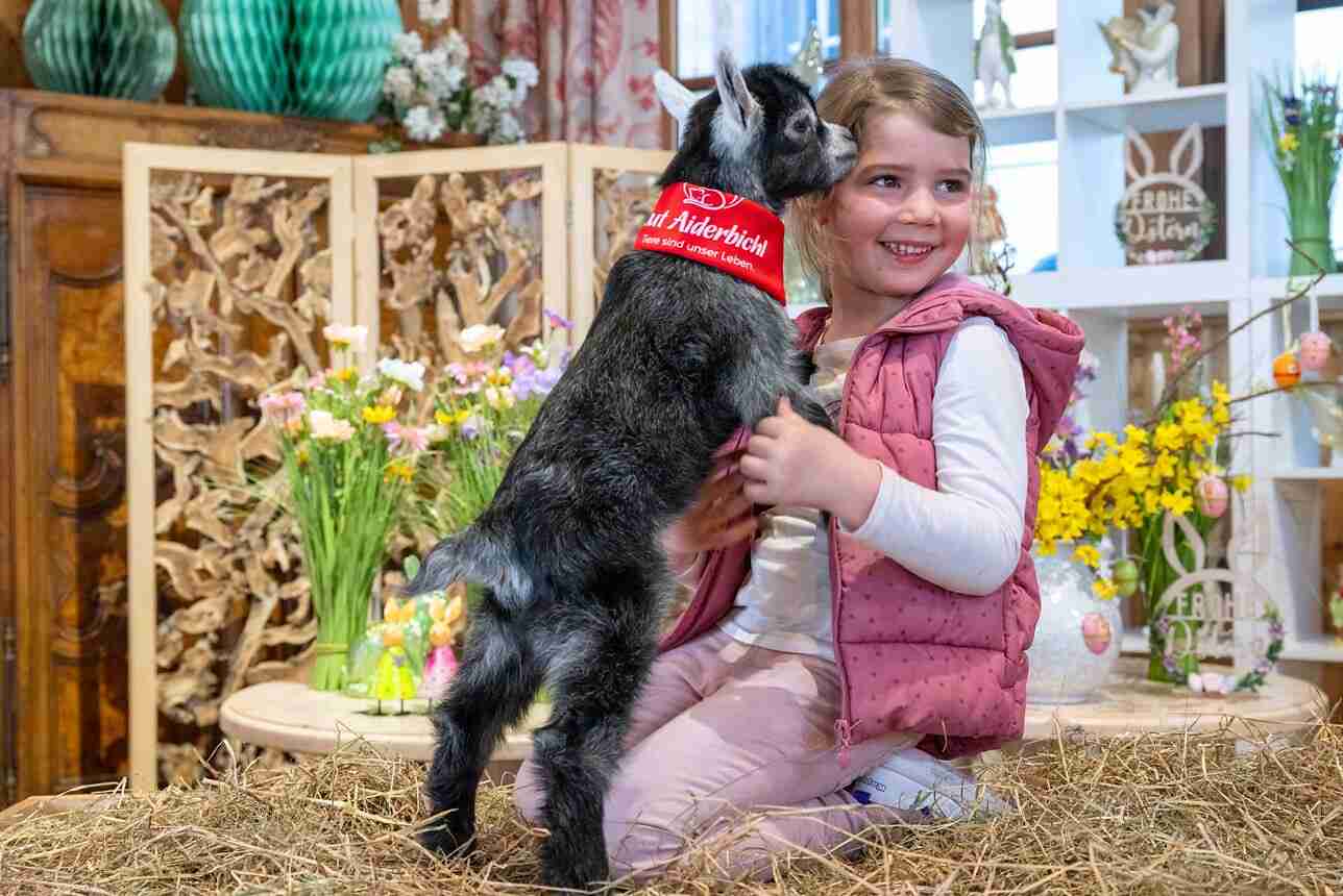 Ausflugsziel: Family Days im Salzburger Seenland