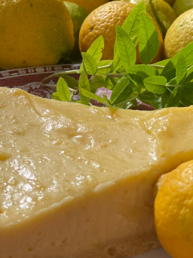 Ausflugsziel: Ippenburger Gärten 