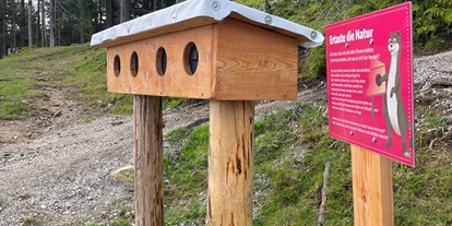 Reis met kinderen - PLZ 6143 (Österreich) - King Serli's Naturerlebnispfad
