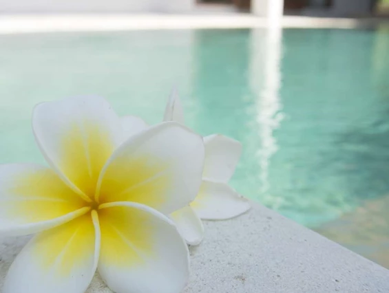 Ausflugsziel: Symbolbild für unseren Bäder-Tipp Märchenlandtherme! - Märchenlandtherme
