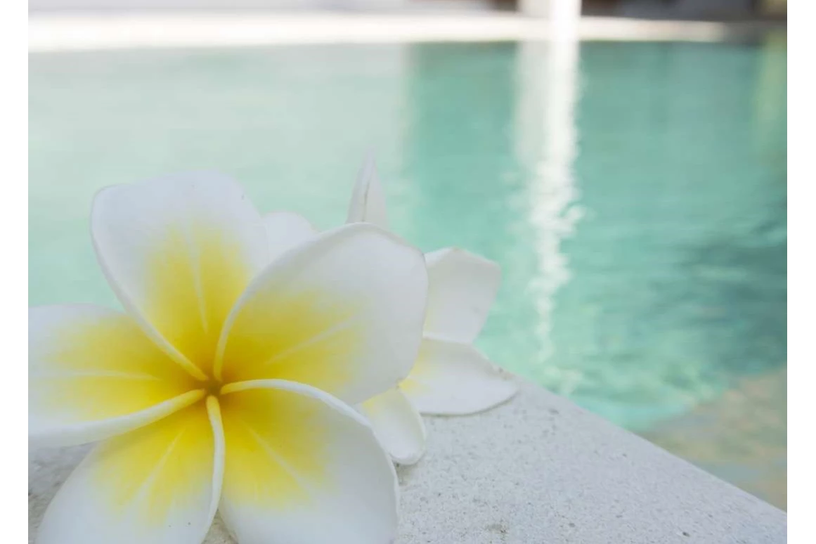 Ausflugsziel: Symbolbild für unseren Bäder-Tipp Märchenlandtherme! - Märchenlandtherme