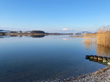 Ausflugsziel: Foto vom Weg den man vom Strandbad entlang des Ufers gehen kann - Strandbad Seekirchen