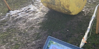 Ausflug mit Kindern - Berndorf bei Salzburg - Winterspass - Strandbad Seekirchen