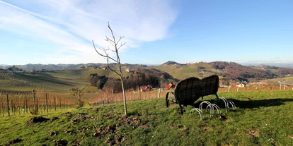 Reis met kinderen - Riegersburg (Riegersburg) - Weinwanderweg Ratsch-Ottenberg