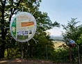 Ausflugsziel: Informationstafel beim Geo-Trail in Kapfenstein - Geo Trail Kapfenstein - Der Weg durch den Vulkan