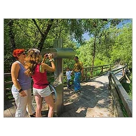 Ausflugsziel: Lettmair Au - Nationalpark Erlebniszentrum Weidendom
