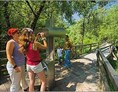 Ausflugsziel: Lettmair Au - Nationalpark Erlebniszentrum Weidendom
