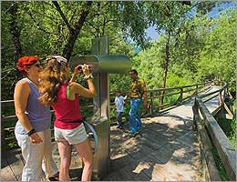 Ausflugsziel: Nationalpark Erlebniszentrum Weidendom