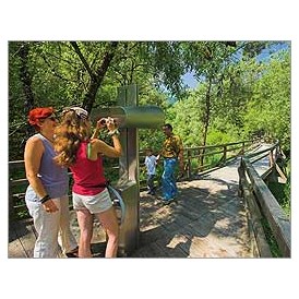 Ausflugsziel: Nationalpark Erlebniszentrum Weidendom