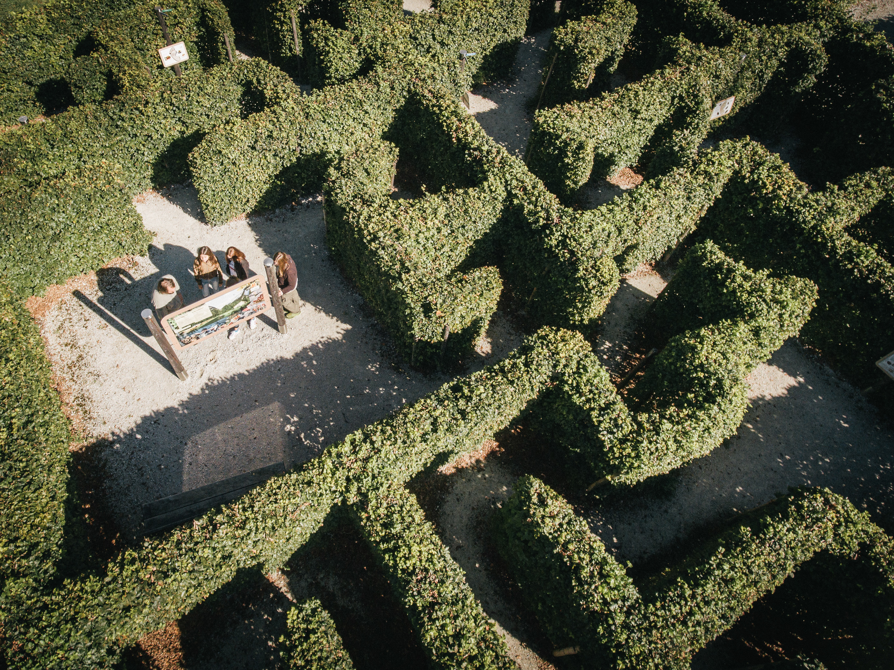 Ausflugsziel: Nationalpark Erlebniszentrum Weidendom