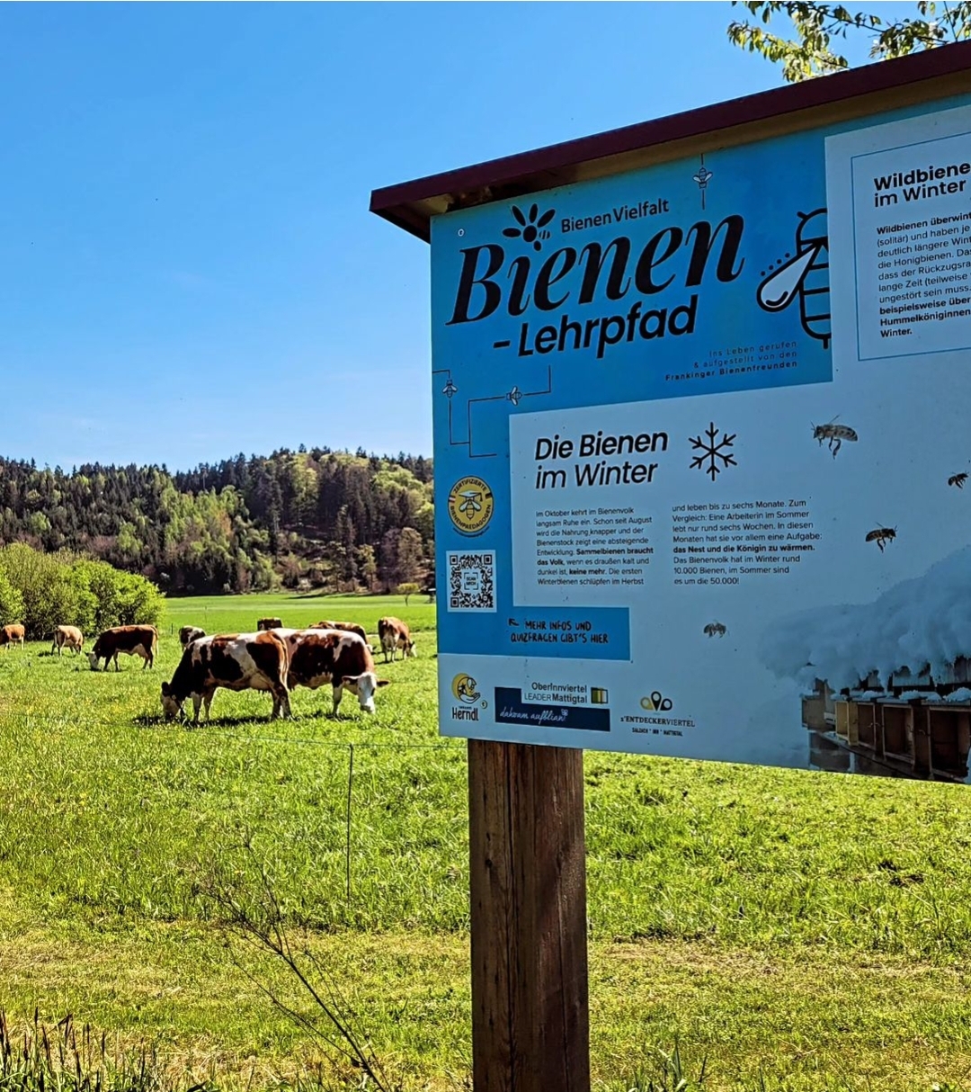 Ausflug mit Kindern - Oberndorf (Gurten) - Frankinger Bienenlehrpfad 