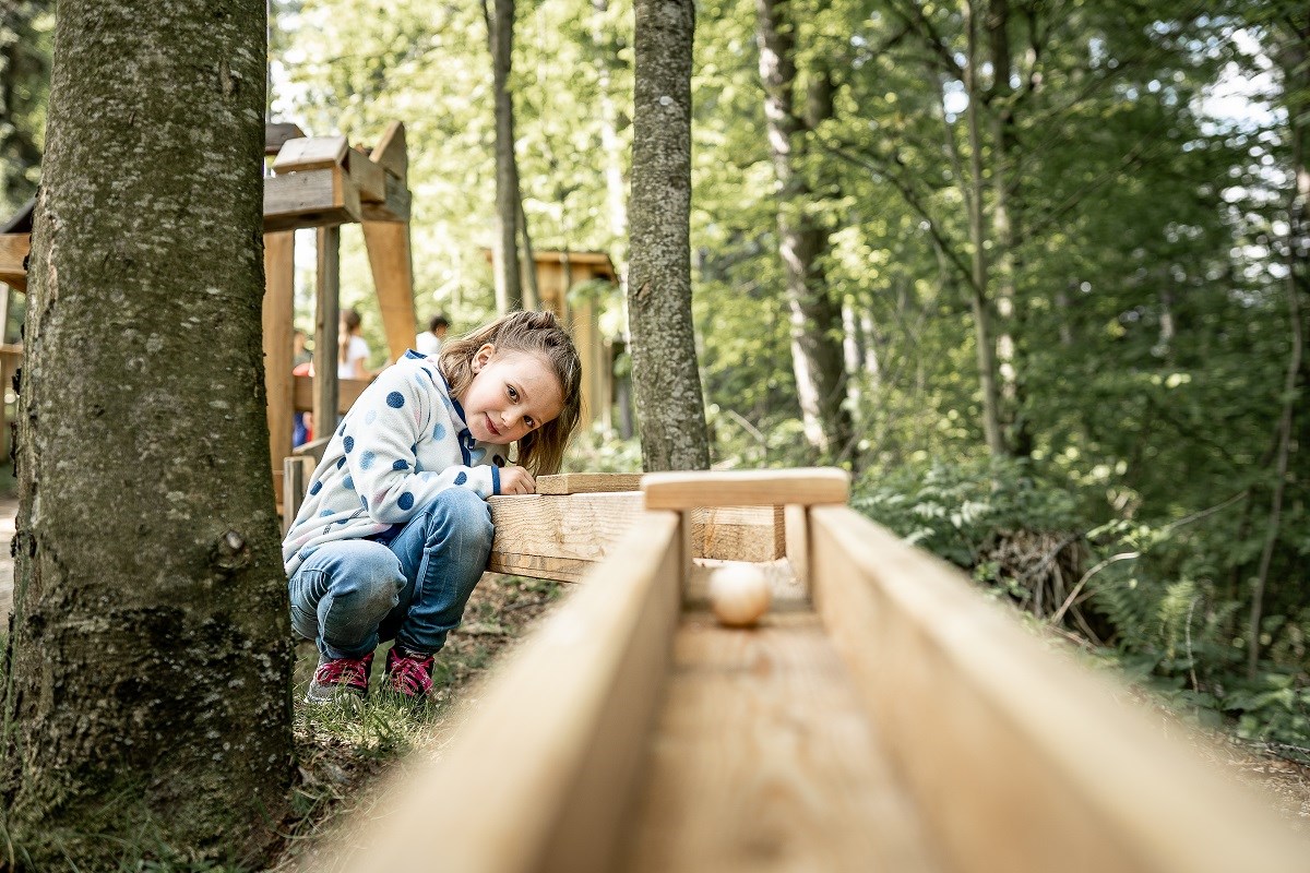 Waldpark Hochreiter Highlights beim Ausflugsziel Holzkugelbahn