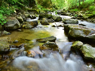 Ausflugsziel: Der Miesenbacher Wasserweg kann auch als Klammweg weiter bis nach Birkfeld gewandert werden. Etwas anspruchsvoller, aber voller kleiner Abenteuer.  - Wasserweg Miesenbach