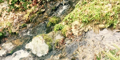 Reis met kinderen - Turnau - Hier fließen der Rothbach und der Moosbach zusammen und heißen ab hier dann "Miesenbach". - Wasserweg Miesenbach
