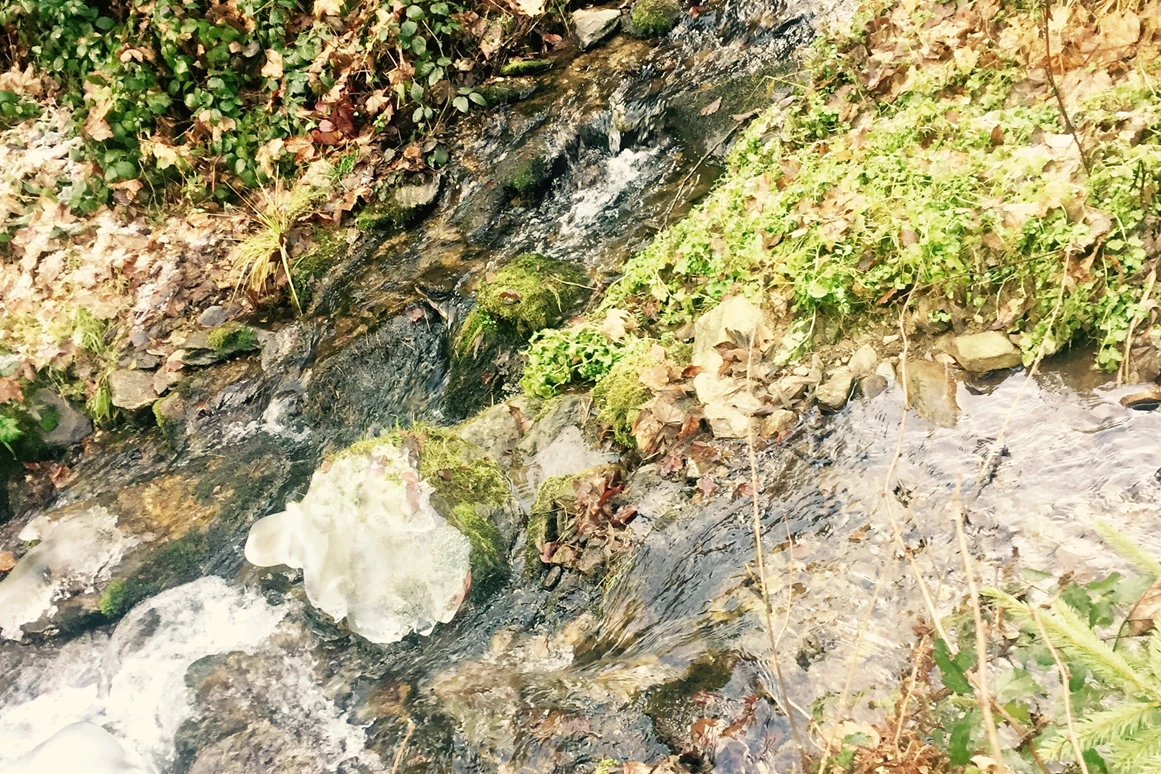 Ausflugsziel: Hier fließen der Rothbach und der Moosbach zusammen und heißen ab hier dann "Miesenbach". - Wasserweg Miesenbach