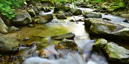 Reis met kinderen - Turnau - Wasserweg Miesenbach