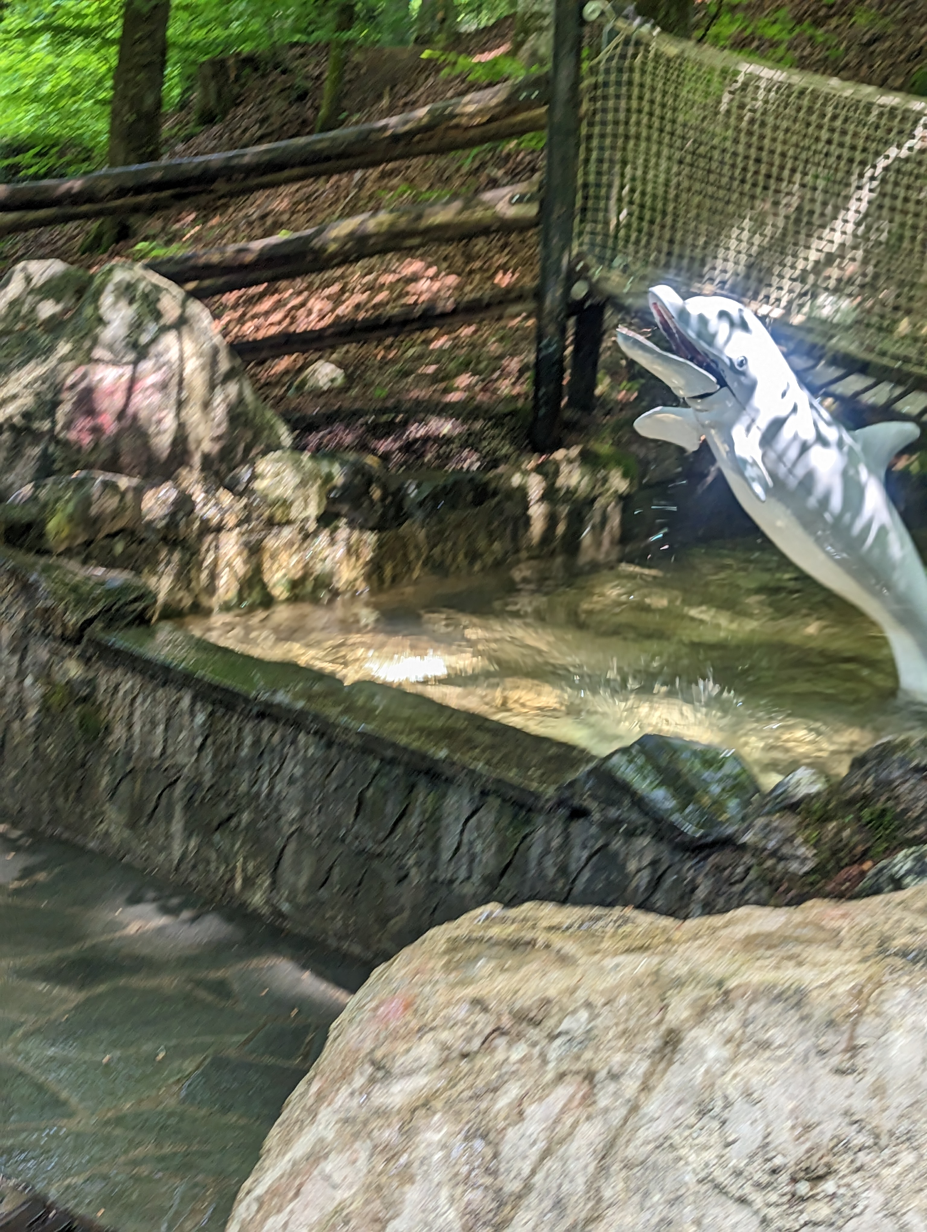 Ausflugsziel: Einer der Springbrunnen, steht man falsch ist man abgekühlt - Freizeitpark Ruhpolding