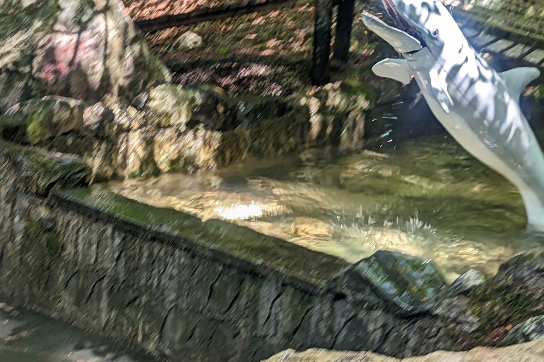 Ausflugsziel: Einer der Springbrunnen, steht man falsch ist man abgekühlt - Freizeitpark Ruhpolding