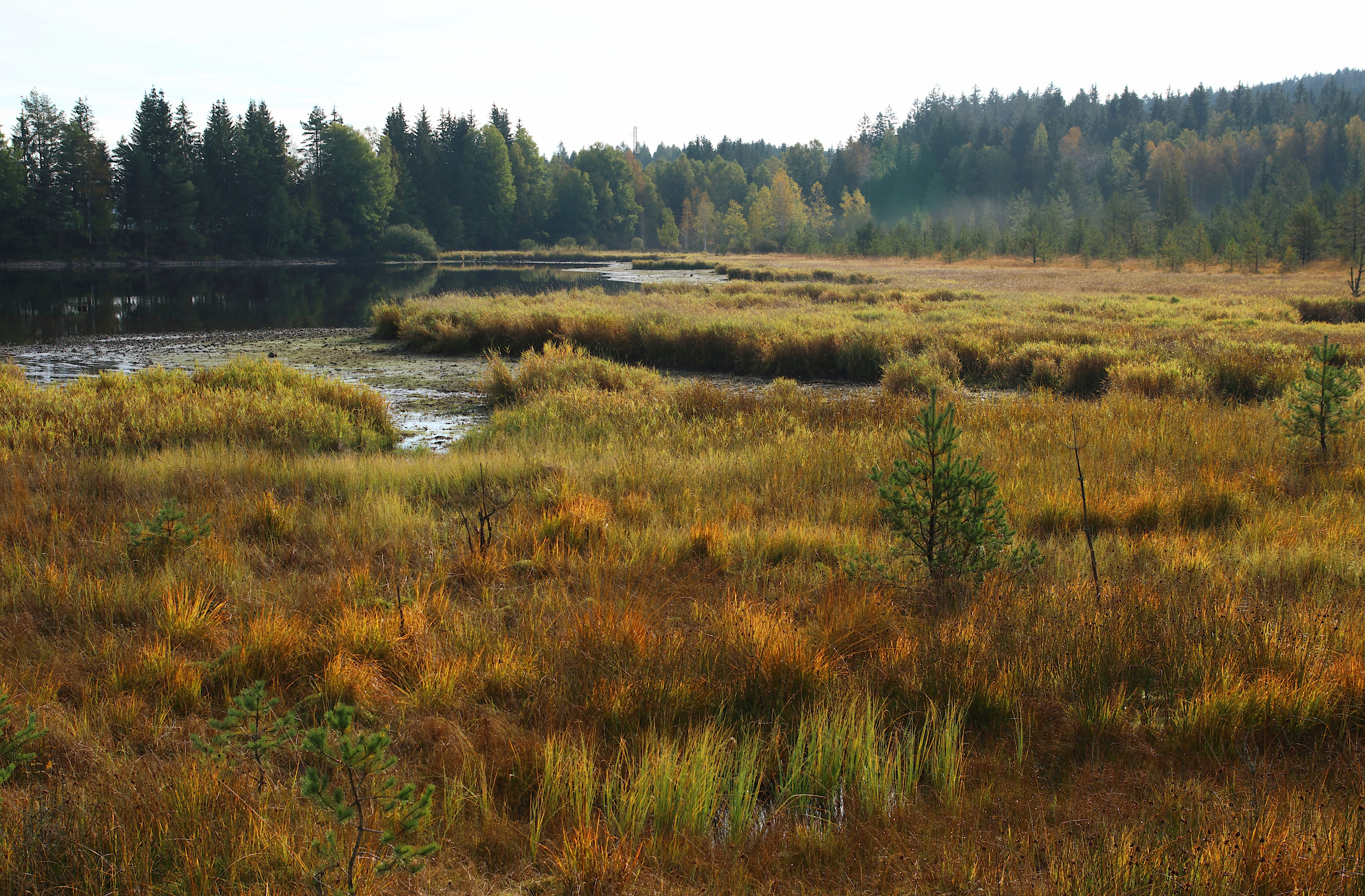 Voyage avec des enfants - Aschach an der Donau - Naturlehrpfad Bayrische Au