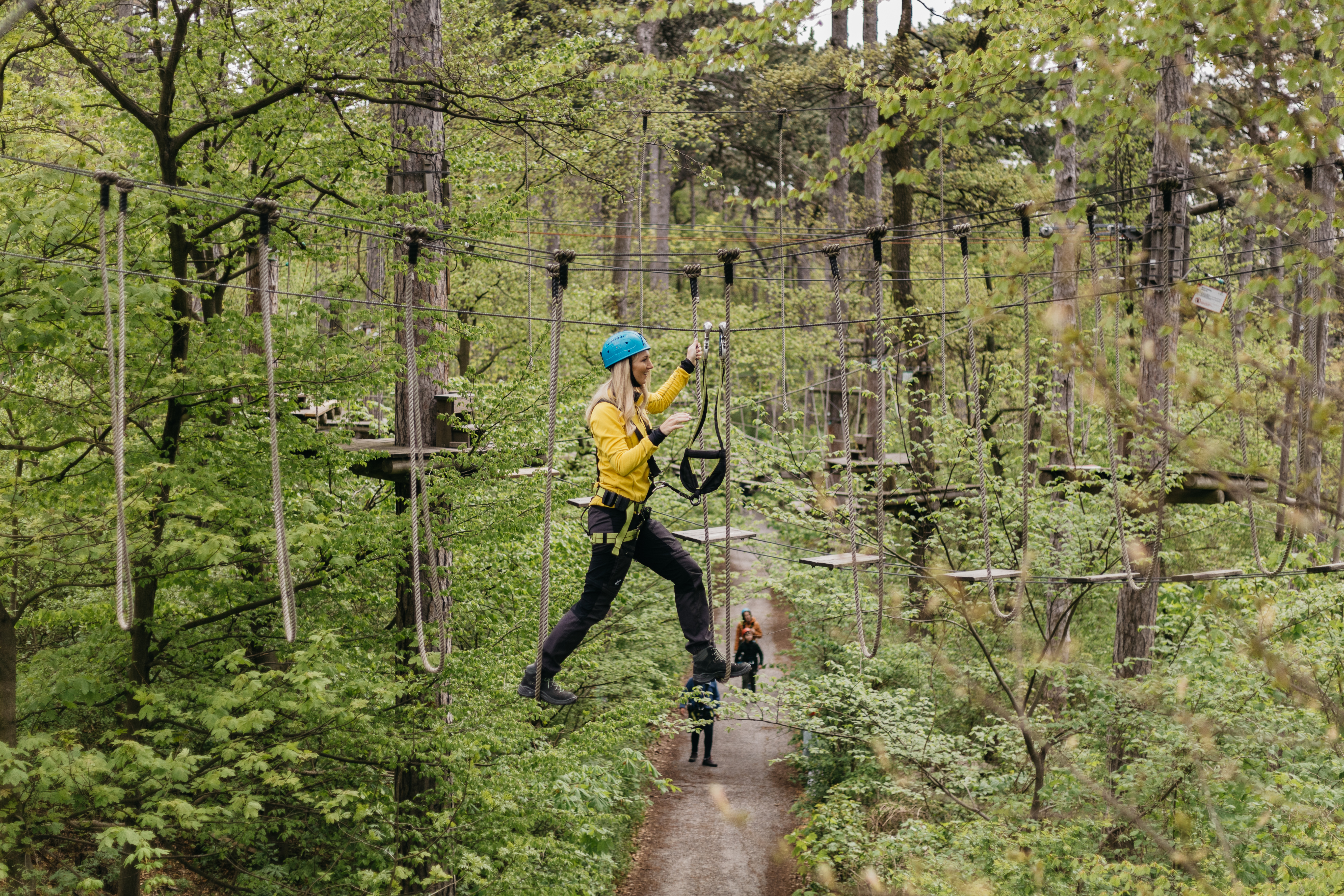 Ausflugsziel: Waldseilpark am  Kahlenberg