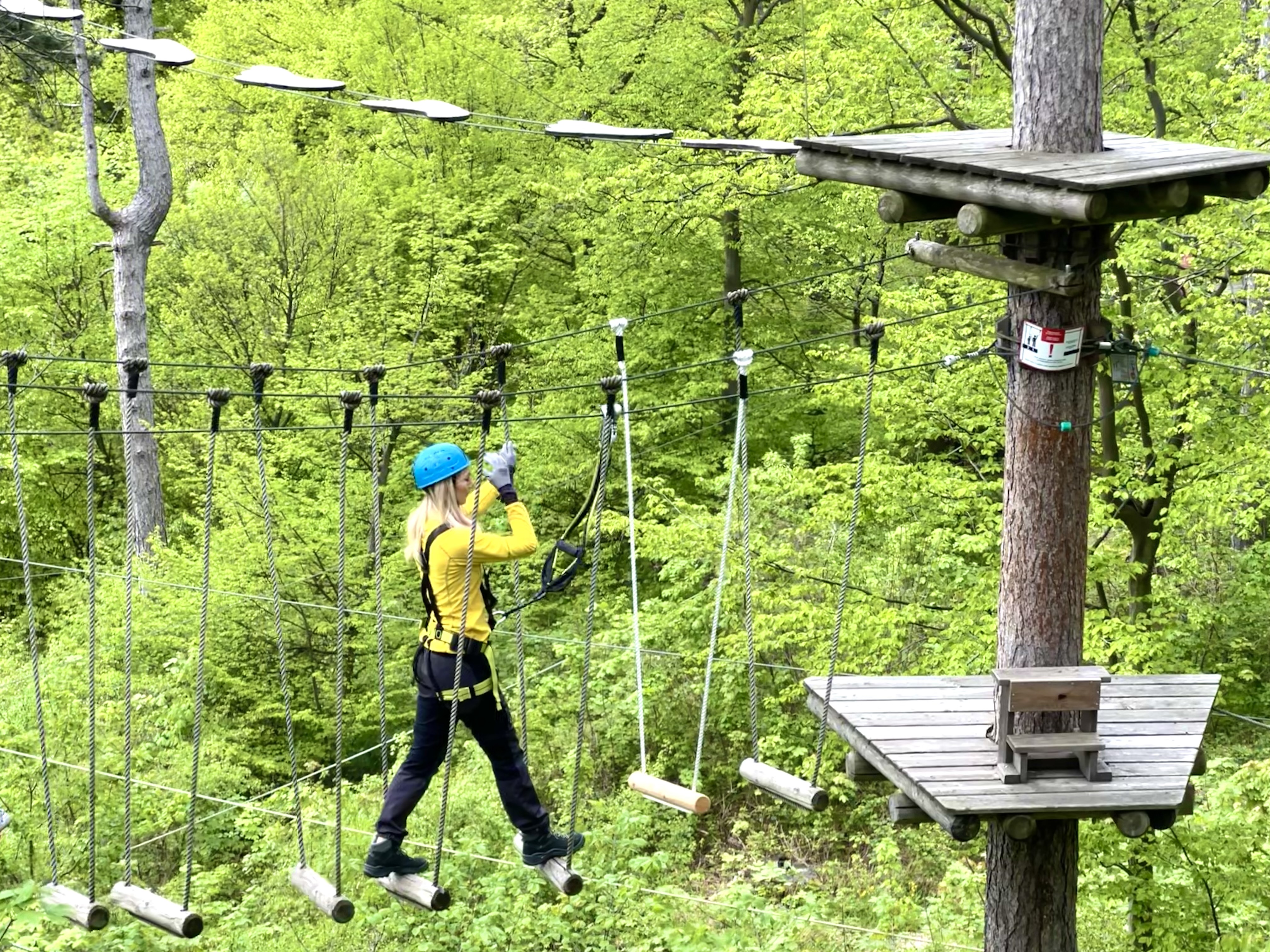 Ausflugsziel: Waldseilpark am  Kahlenberg