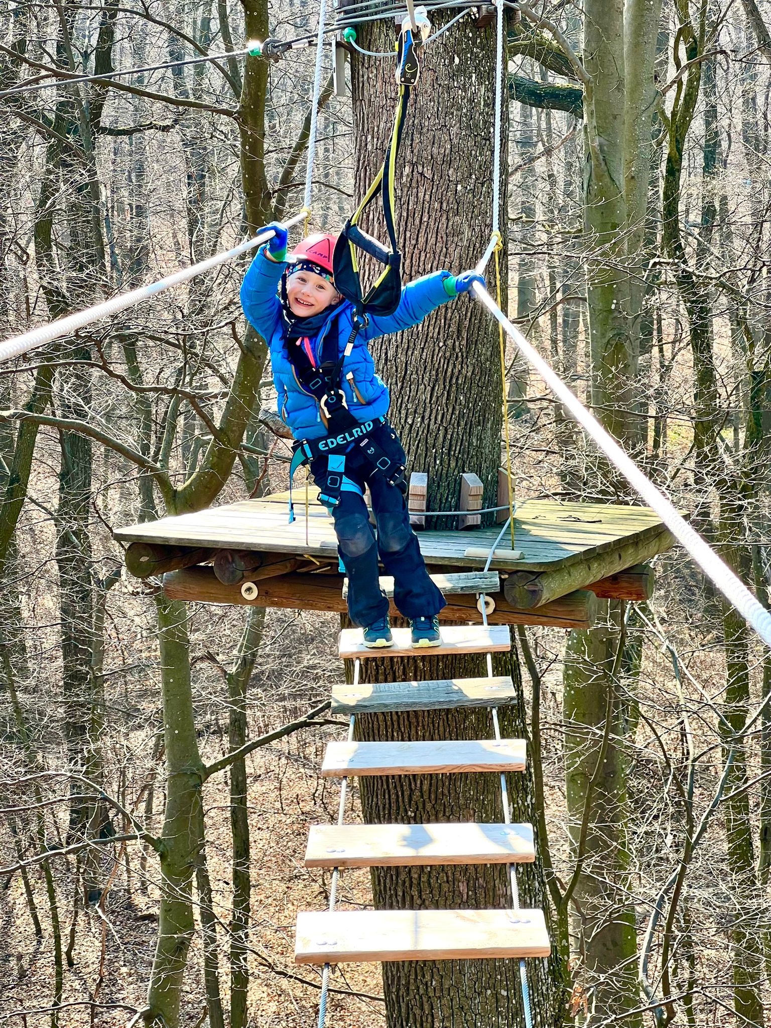 Ausflugsziel: Waldseilpark am  Kahlenberg