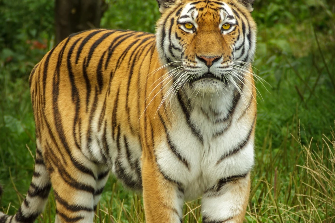 Ausflugsziel: Zoo Schmiding