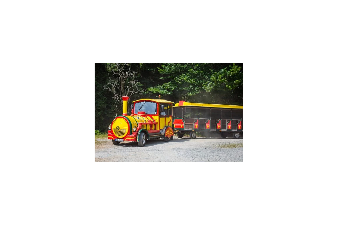 Ausflugsziel: Linz City Express