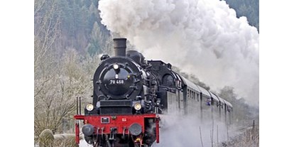 Ausflug mit Kindern - Alter der Kinder: über 10 Jahre - PLZ 4053 (Österreich) - Mit der Dampflok durch das Steyrtal