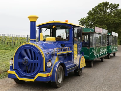 Ausflug mit Kindern - Bullendorf - Vienna Heurigen Express
