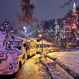 Ausflugsziel: Wiener Weihnachtstraum am Rathausplatz