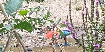 Trip with children - Edelsbach bei Feldbach - Sulmbad