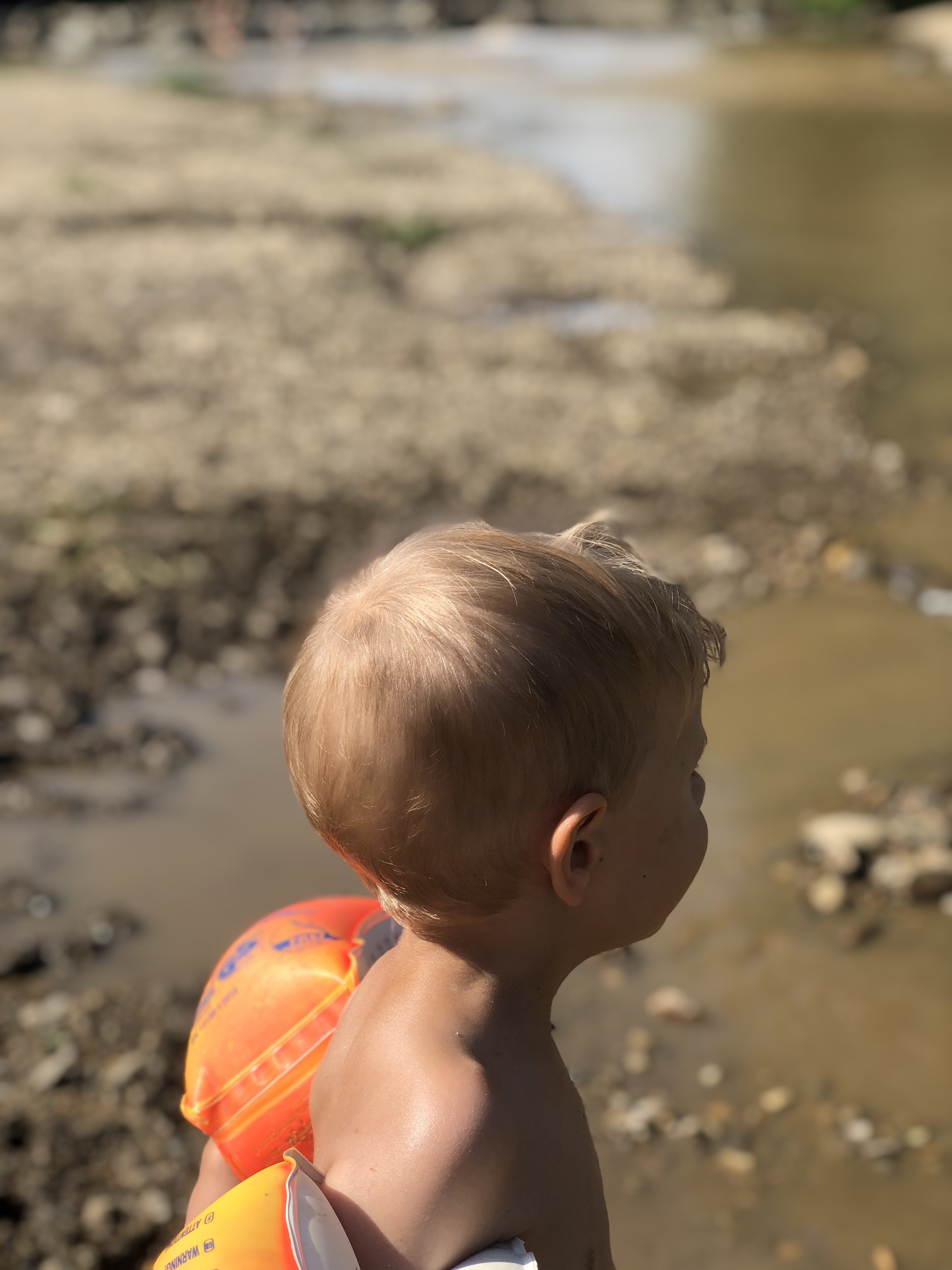 Reis met kinderen - Leitersdorf (Sankt Veit in der Südsteiermark) - Sulmbad