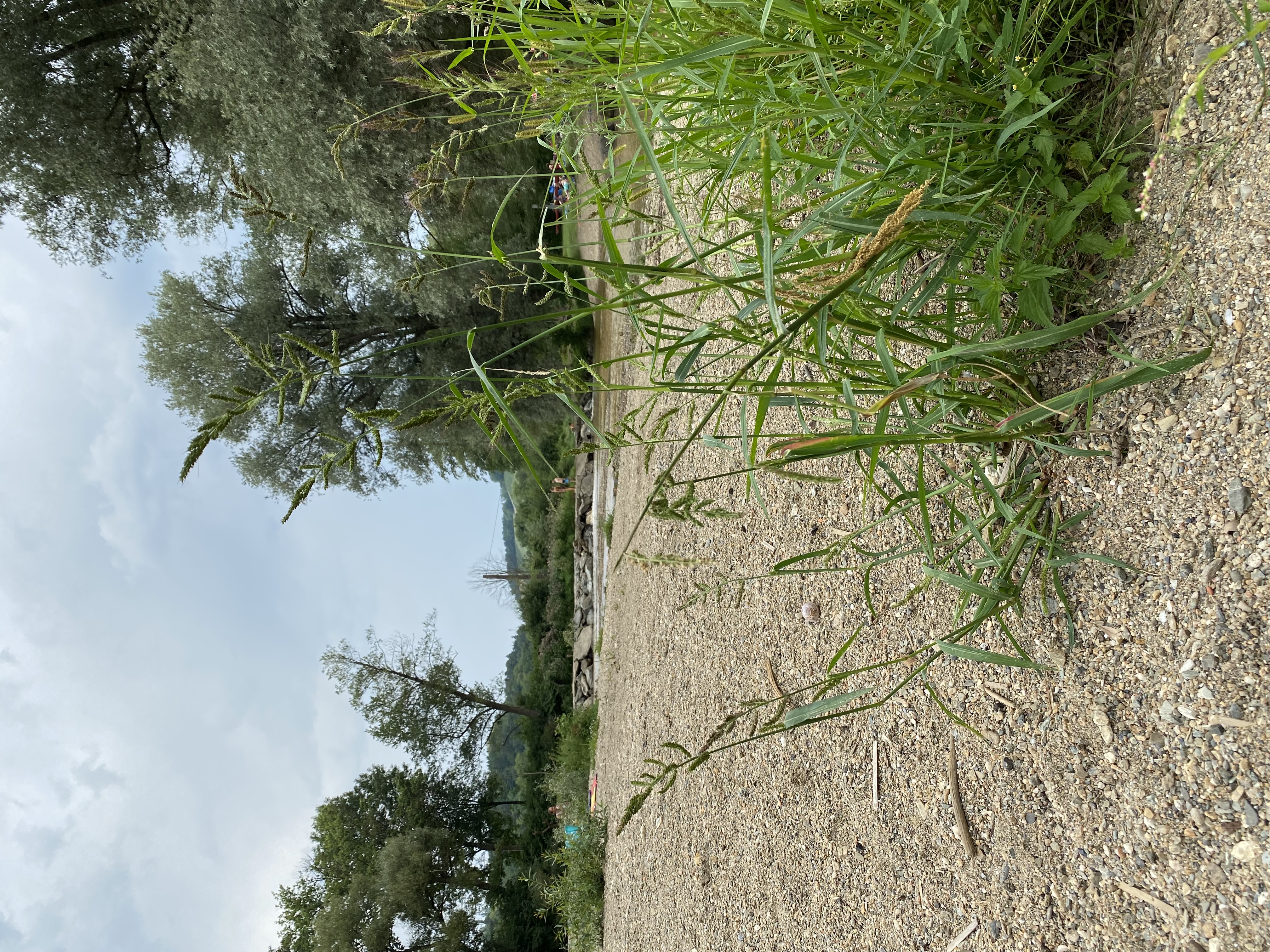 Reis met kinderen - Leitersdorf (Sankt Veit in der Südsteiermark) - Sulmbad