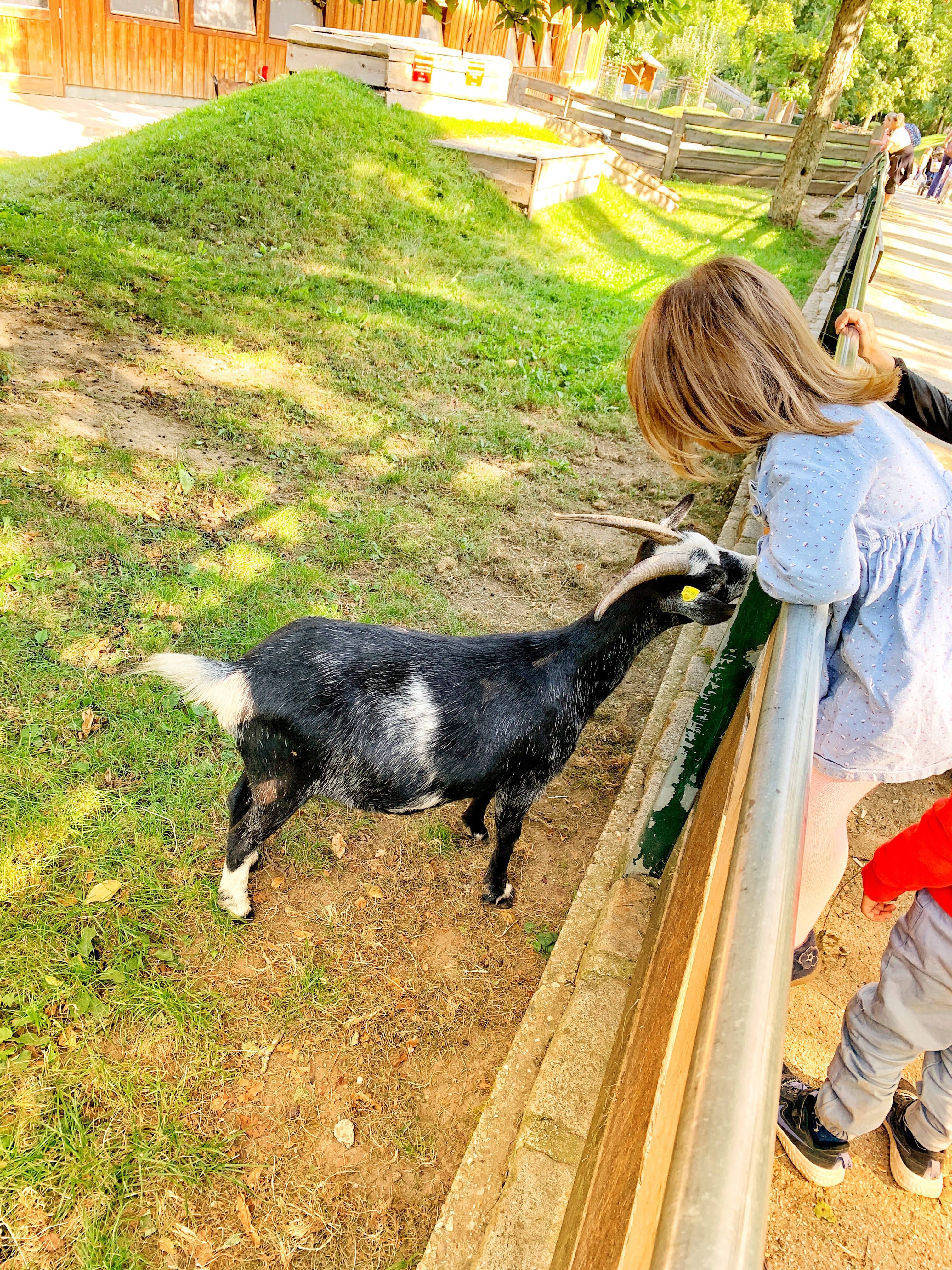 Voyage avec des enfants - Emmersdorf (Neulengbach) - Waldspielplatz Bisamberg-Elisabethhöhe
