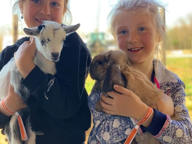 Ausflugsziel: Freizeitpark Lutzmannsburg