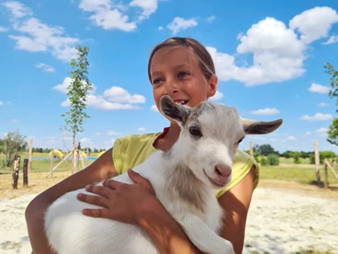 Ausflugsziel: Freizeitpark Lutzmannsburg