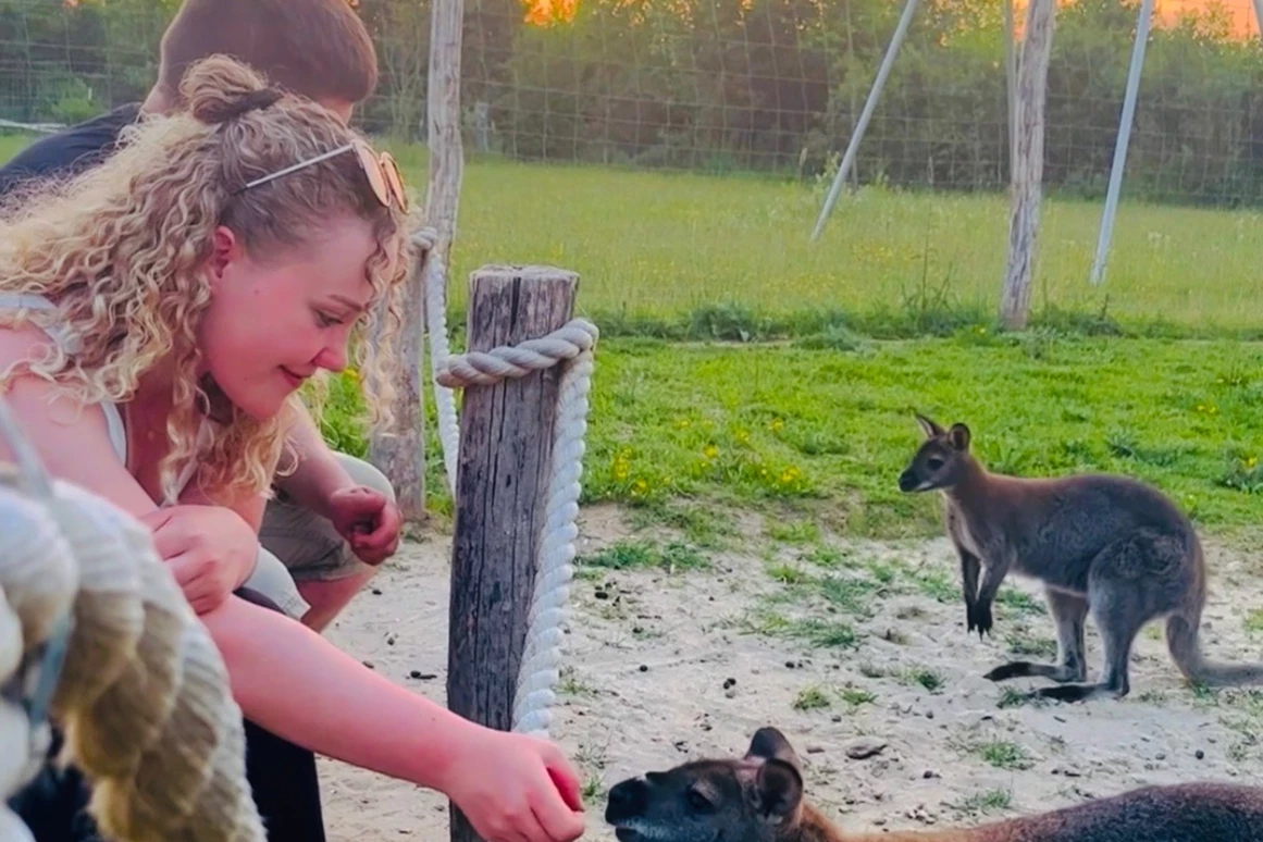 Ausflugsziel: Freizeitpark Lutzmannsburg