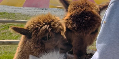 Reis met kinderen - Wickeltisch - Freizeitpark Lutzmannsburg