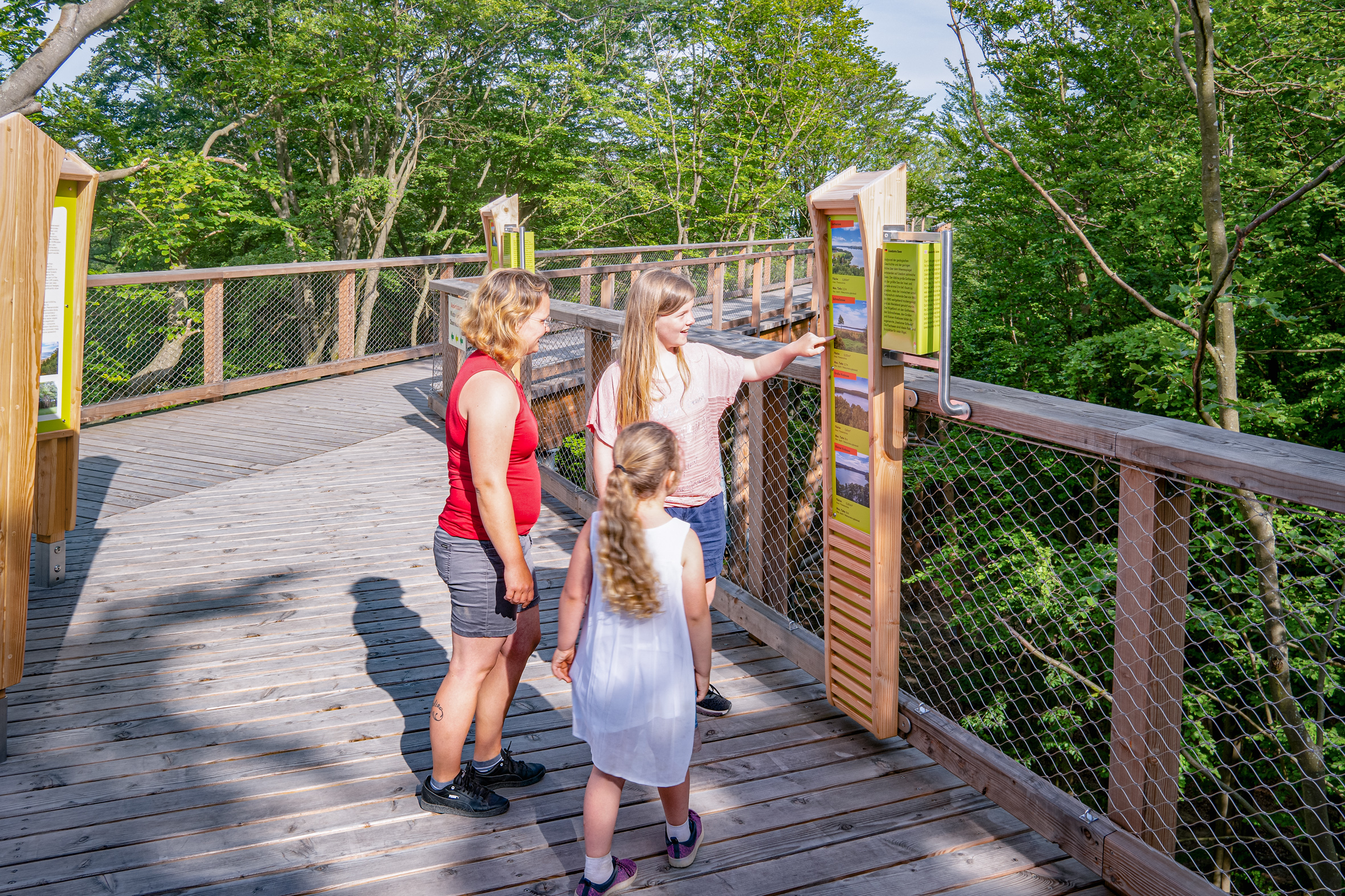 Ausflugsziel: Baumwipfelpfad Usedom