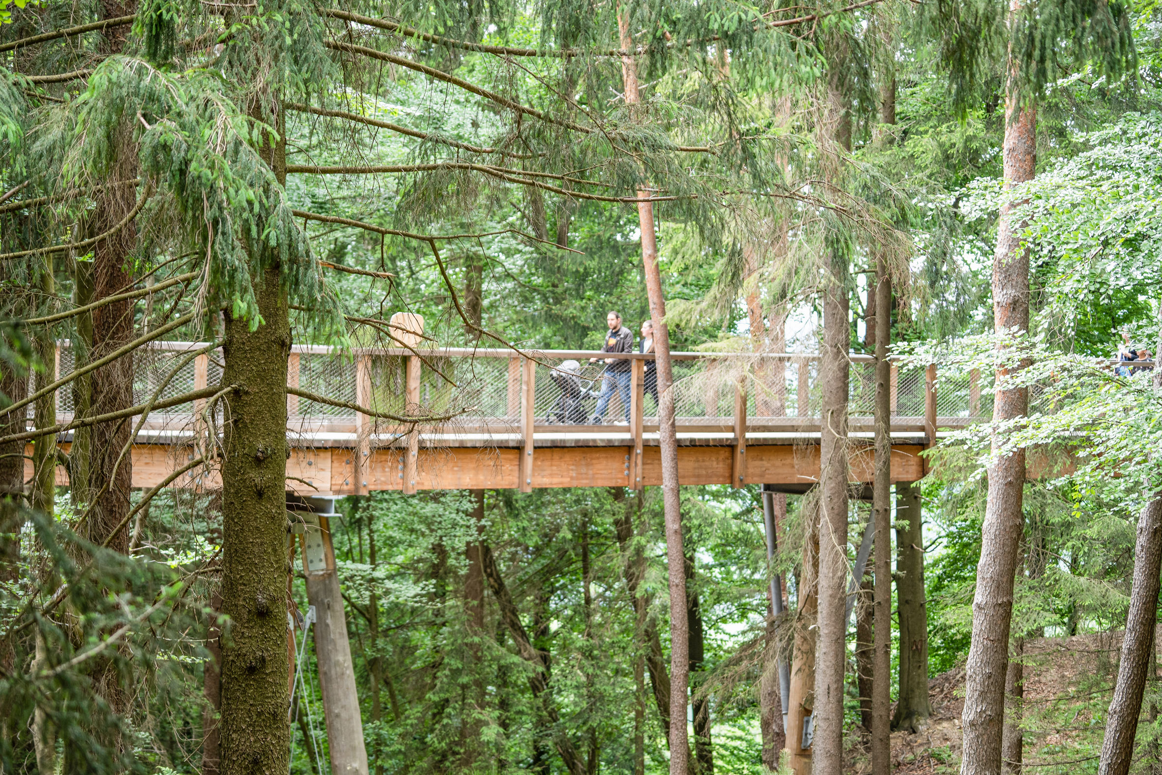 Ausflugsziel: Baumwipfelpfad Elsass
