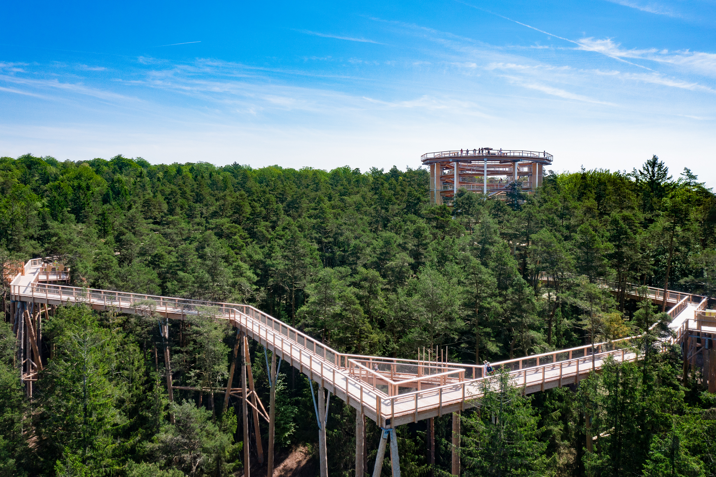 Ausflugsziel: Baumwipfelpfad Elsass