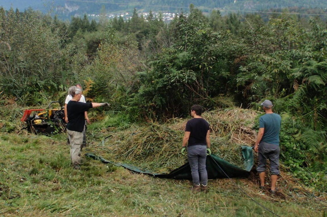 Ausflugsziel: Freiwilligeneinsatz: Moorpflege im Schutzgebiet Weihermühle