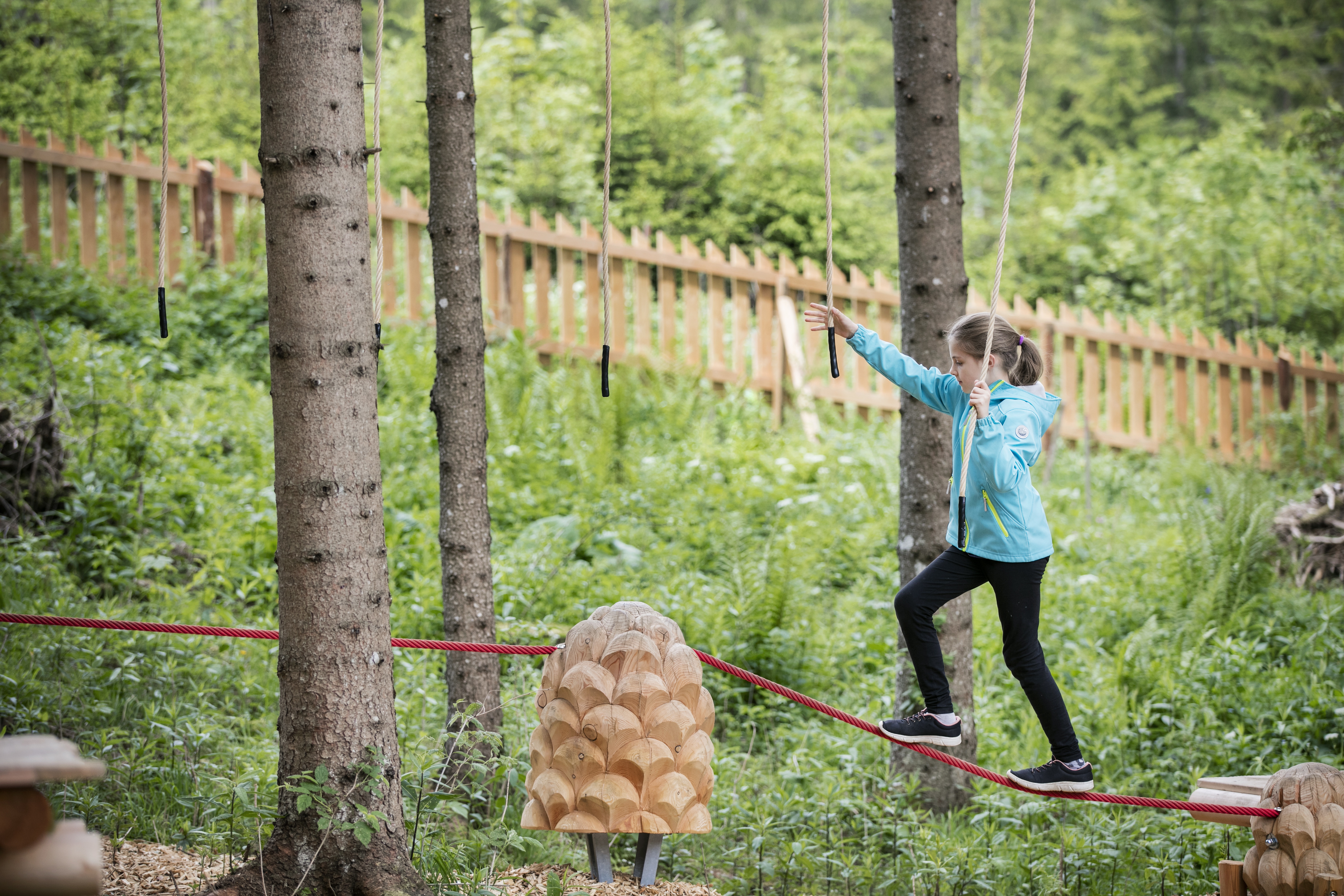 Ausflugsziel: Kletterspaß für die ganze Familie