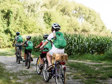 Ausflugsziel: Sonnenaufgang Radtour