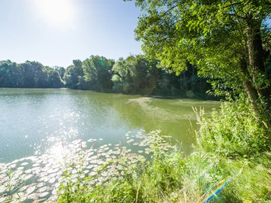 Ausflugsziel: Sonnenaufgang Radtour