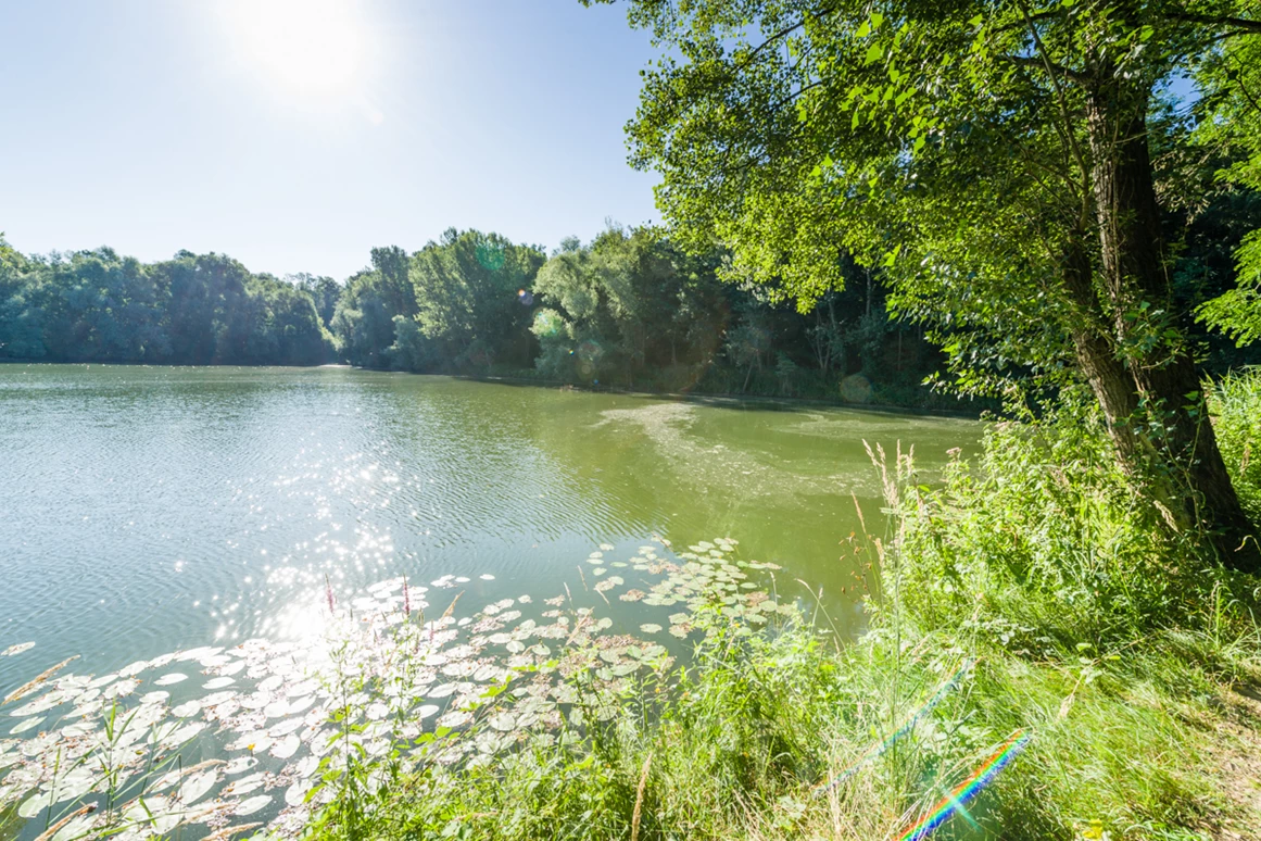 Ausflugsziel: Sonnenaufgang Radtour