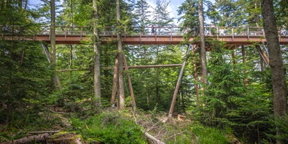 Trip with children - Maulbronn - Baumwipfelpfad Schwarzwald